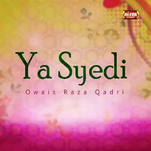 Ya Syedi image