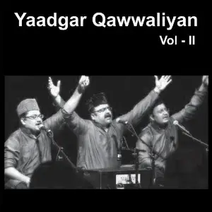 Yaadgar Qawwaliyan, Vol. 2 image