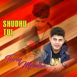 Shudhu Tui image