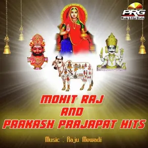 Mohit Raj And Prakash Prajapat Hits image