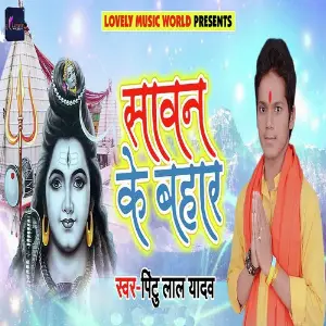 Sawan Ke Bahar image