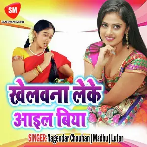 Khelavana Leke Aaelbiya image