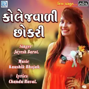 College Vadi Chhokari image