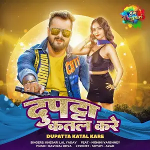Dupatta Katal Kare image