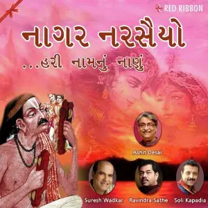 Naagar Narsaiyo - Hari Naam Nu Nanu image
