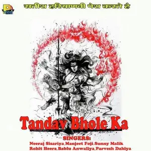 Tandav Bhole Ka image