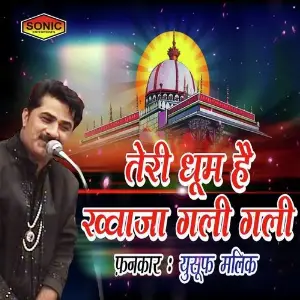 Teri Dhoom Hai Khwaja image