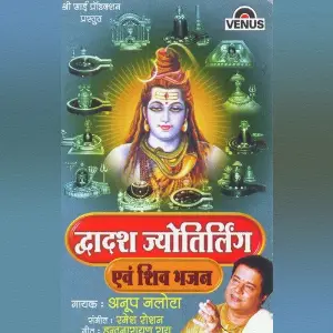 Dwadasha Jyotirling image