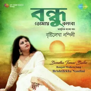 Bondhu Tomai Bolbo - Brishtilekha Nandini image