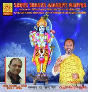 Shree Bhagya Jaagriti Mantra image