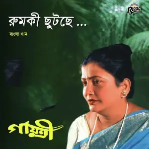 Rumki Chutche image