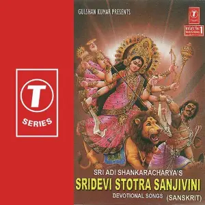 Sridevi Stotra Sanjivini Anupama, Dr. Shamitha Malnad, Rathnamala Prakash, Malathi Sharma, H.K. Narayana