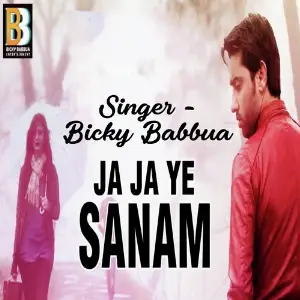 Ja Ja Ye Sanam image