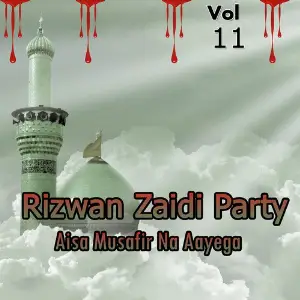Rizwan Zaidi Party - Aisa Musafir Na Aayega, Vol. 11 image
