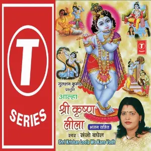 Aalha Sri Krishna Leela image