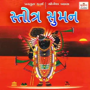 Bahuchar Chalisha Darshna Gandhi