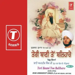Teri Baani Ton Balihare image