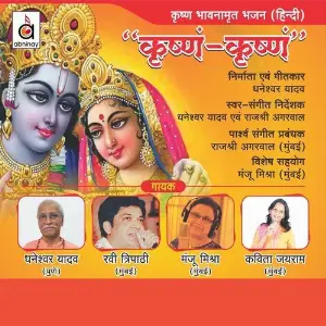 Krishnam Krishnam image