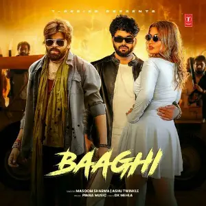 Baaghi image