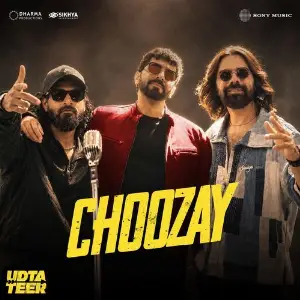Choozay (From Udta Teer) image