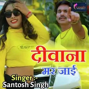 Diwana Mar Jai image