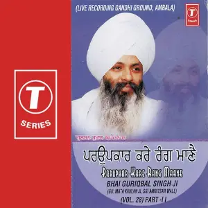 Parupkar Kare Rang Maan (Vol. 28) image