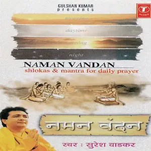 Naman Vandan image