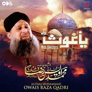Payam Akhri Hai, Vol. 3 Alhajj Muhammad Owais Raza Qadri