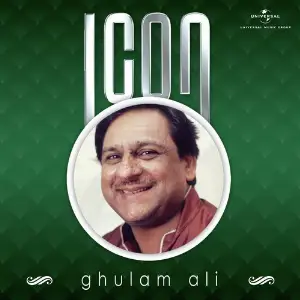 Icon image