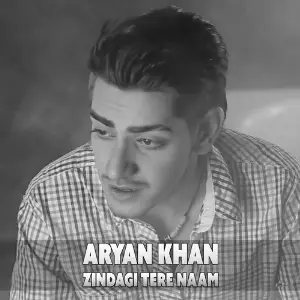 Zindagi Tere Naam image
