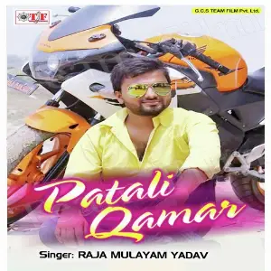 Patali Qamar image
