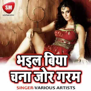 Bahil Biya Chana Jor Garam image