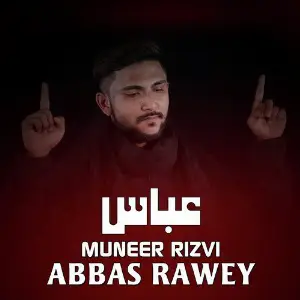 Abbas Rawey image