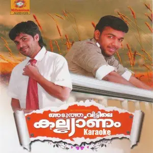 Adutha Veettile Kalyanam Karoke image