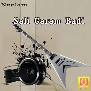 Sali Garam Badi image