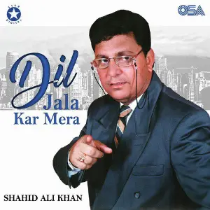 Dil Jala Kar Mera image