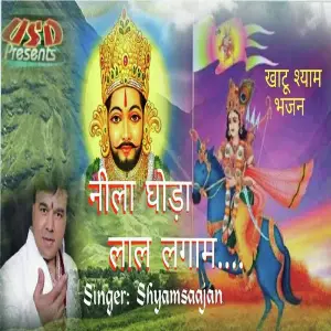 Neela Ghoda Laal Lagaam image