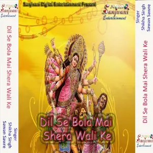 Dil Se Bola Mai Shera Wali Ke image