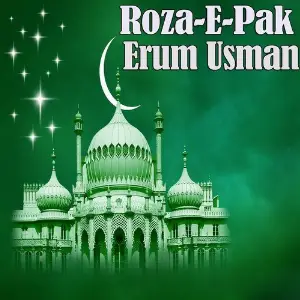 Roza-e-Pak image