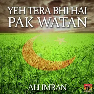 Yeh Tera Bhi Hai Pak Watan - Single image