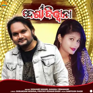Desi Deewana image