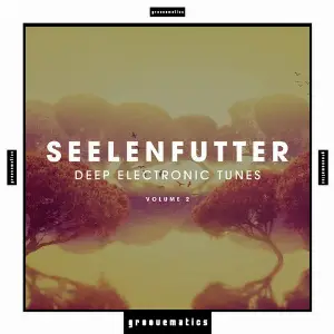 SeelenFutter(Deep Electronic Tunes), Vol. 2 image