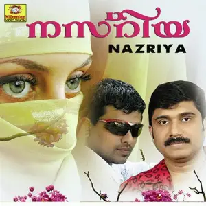 Nasiriya image