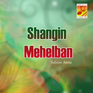 Shangin Mehelban image