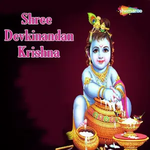 Shree Devkinandan Krishna image