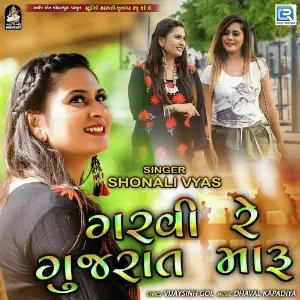 Garvi Re Gujarat Maru image