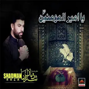 Ya Ameer ul Momineen A.s image