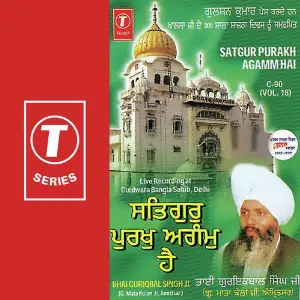 Satgur Purakh Agamm Hai (Vol. 18) image