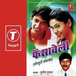 Fansaaveli image