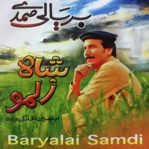 Shah Zalmo image